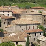 Hvad er formålet med at bruge ankelbind?